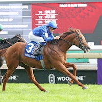 Notable Speech defends his title in the Woodbine Mile (G1)