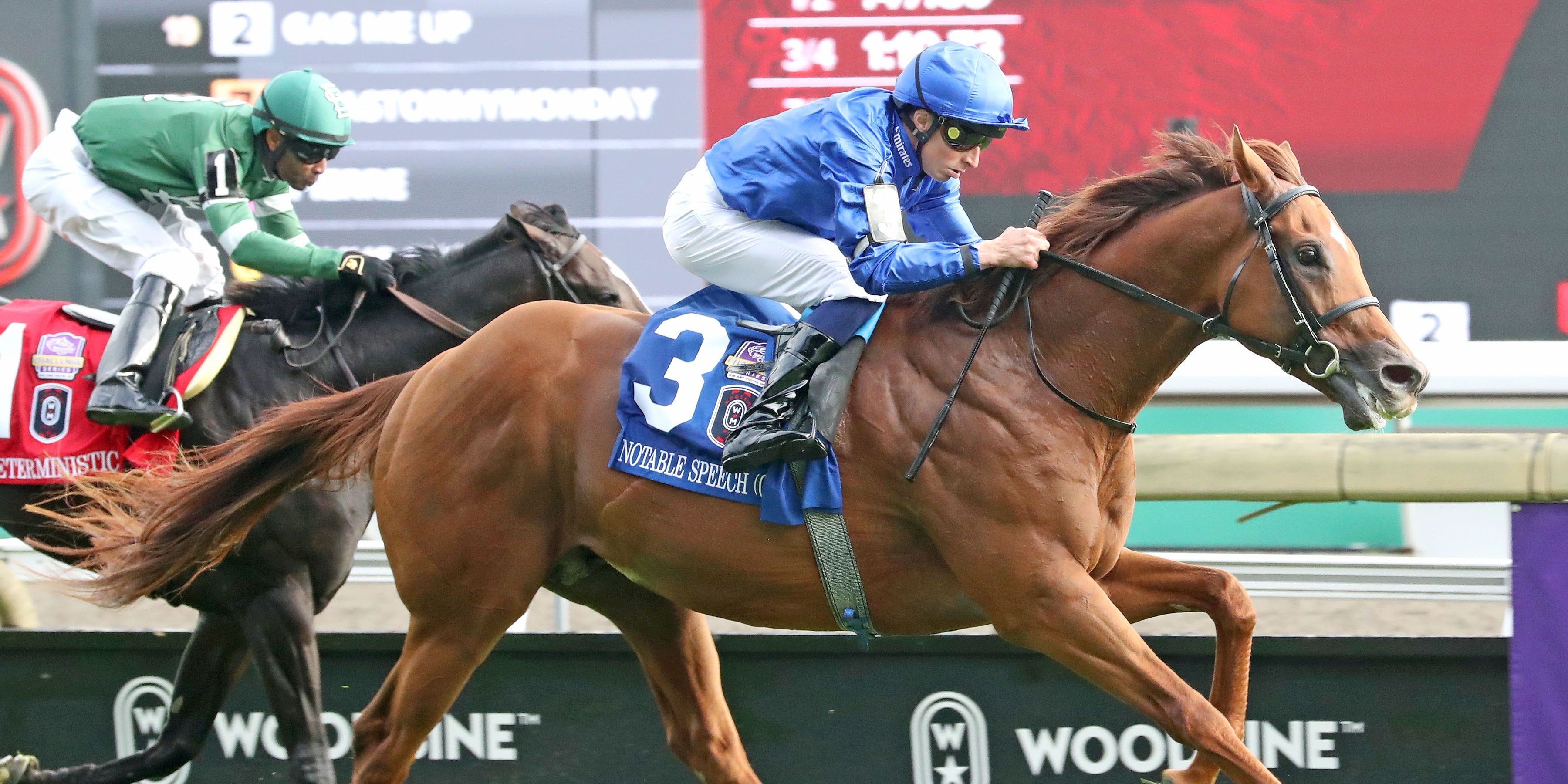 Notable Speech defends his title in the Woodbine Mile (G1)