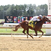 Nothing Personal wins at Colonial Downs. 