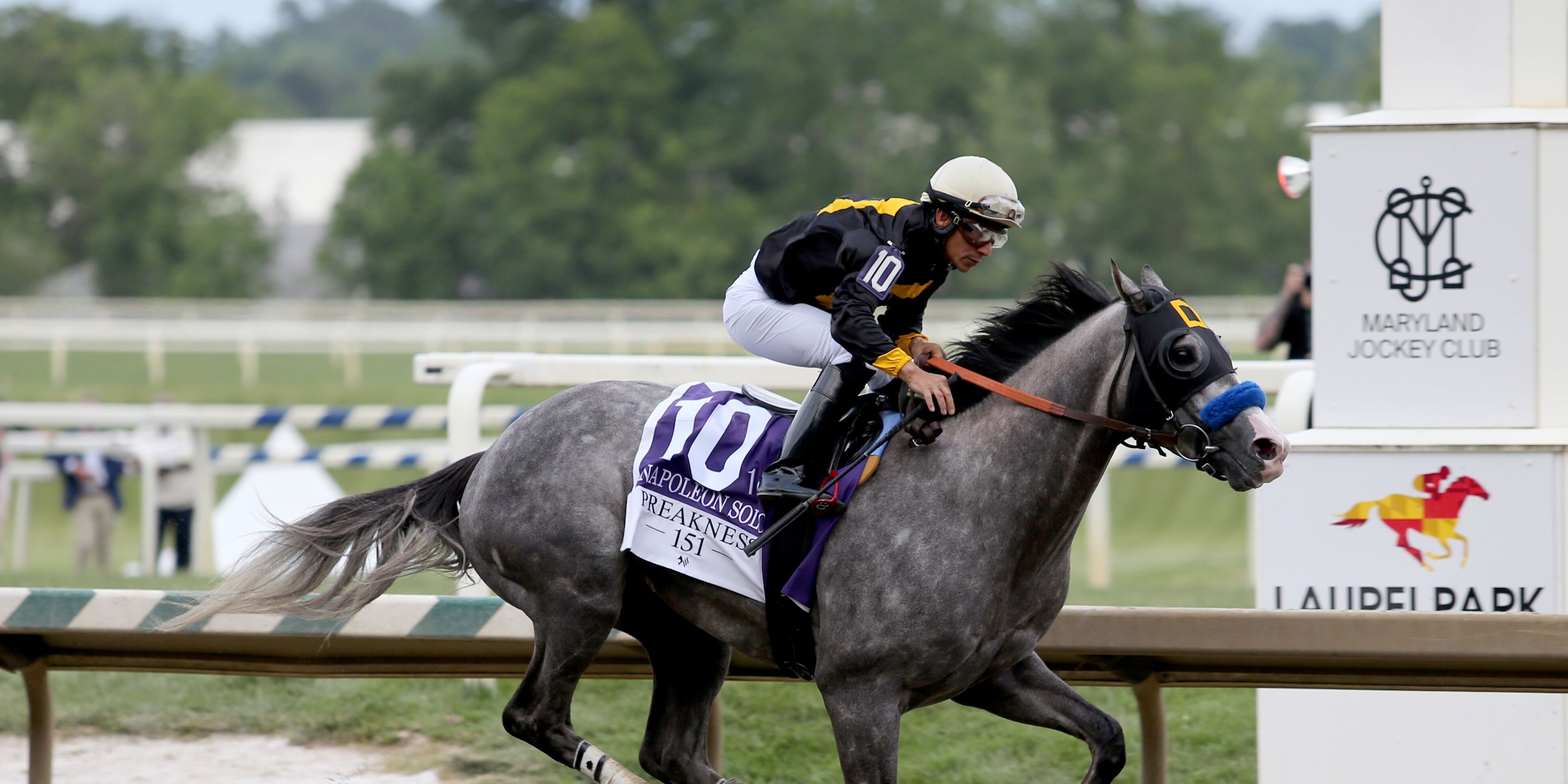 Napoleon Solo wins the 151st Preakness at Laurel Park (Photo by Horsephotos.com)
