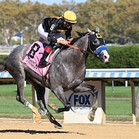 Napoleon Solo wins the Champagne Stakes at Aqueduct. 