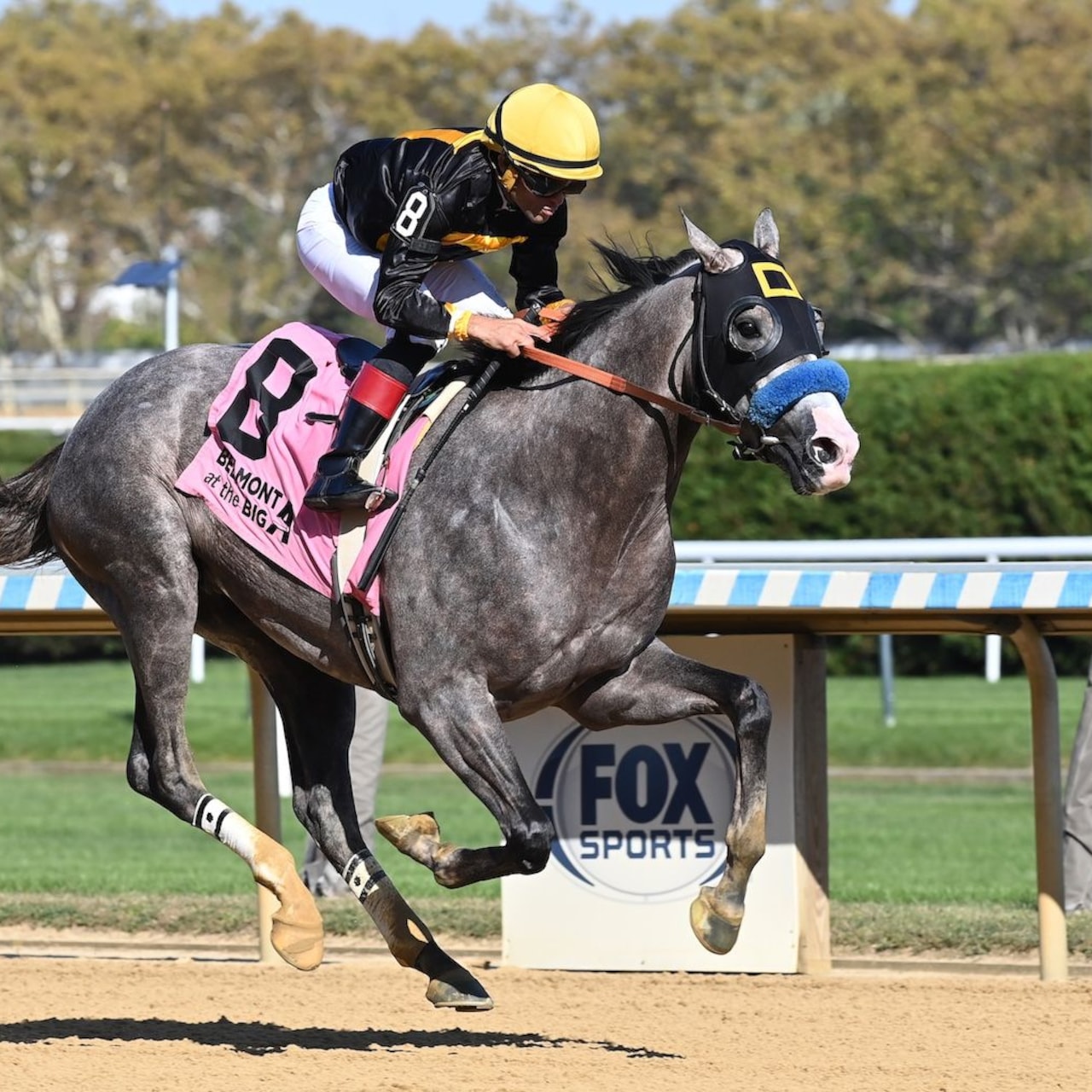 Napoleon Solo wins the Champagne Stakes at Aqueduct.