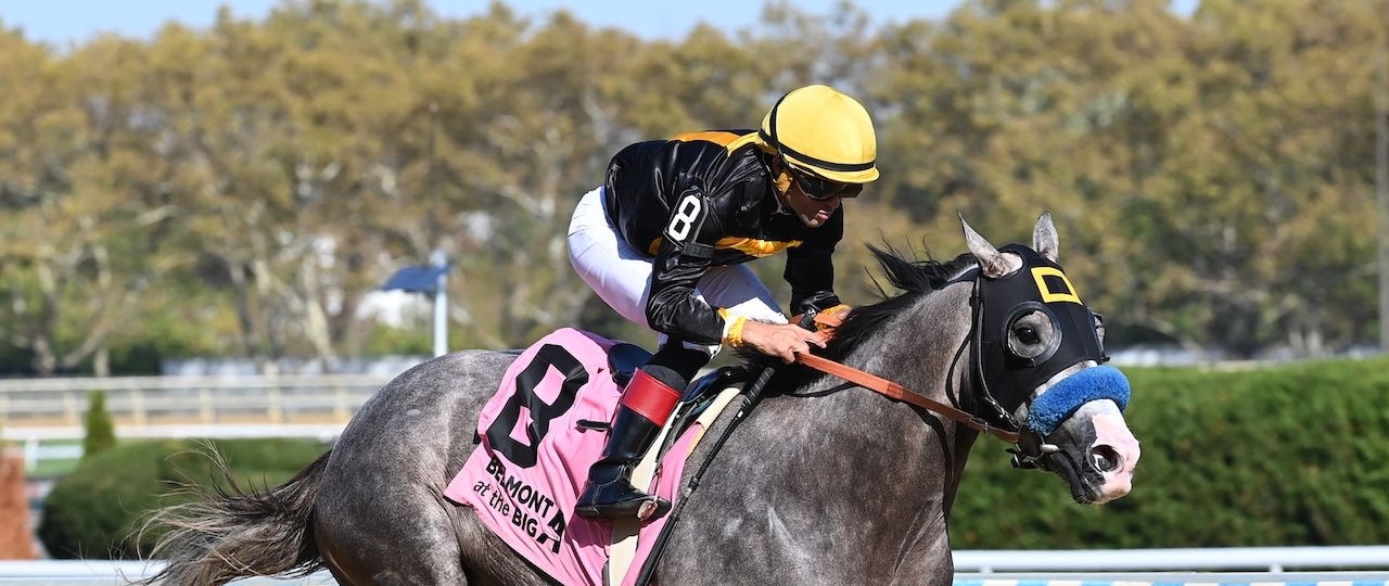 Napoleon Solo wins the Champagne Stakes at Aqueduct.