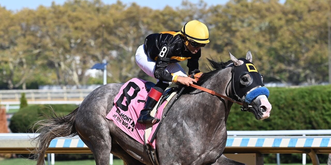 Napoleon Solo wins the Champagne Stakes at Aqueduct.