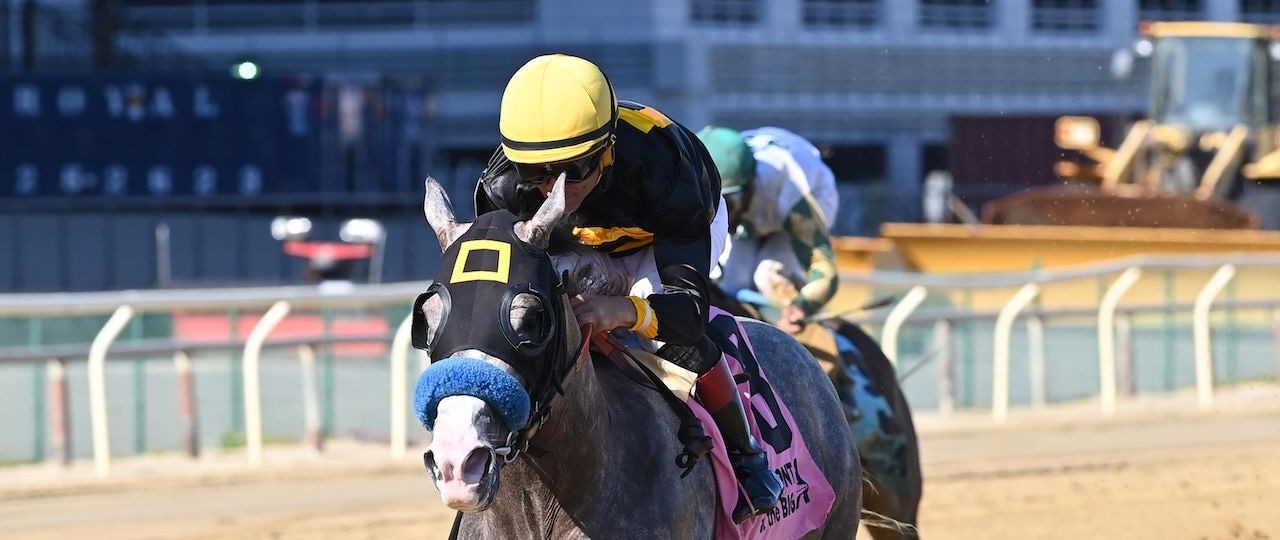 Napoleon Solo wins the Champagne Stakes at Aqueduct.
