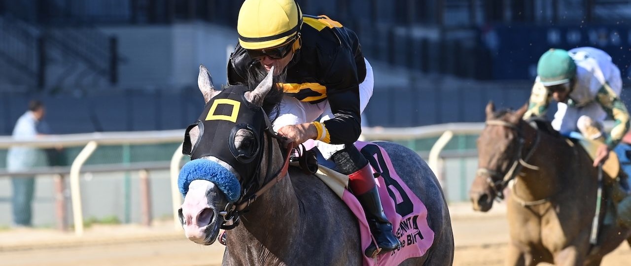 Napoleon Solo wins the Champagne Stakes at Aqueduct.