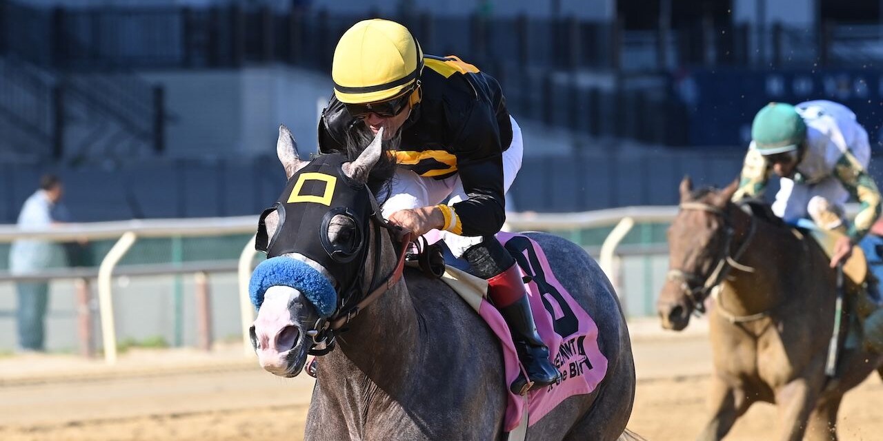 Napoleon Solo wins the Champagne Stakes at Aqueduct.