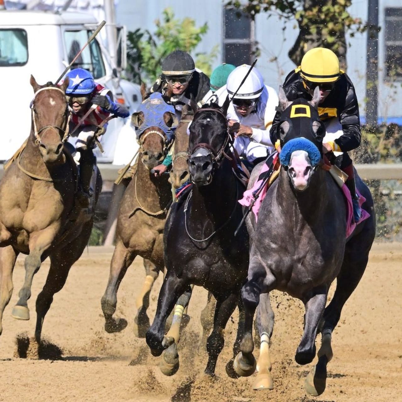 Napoleon Solo wins the Champagne Stakes at Aqueduct.