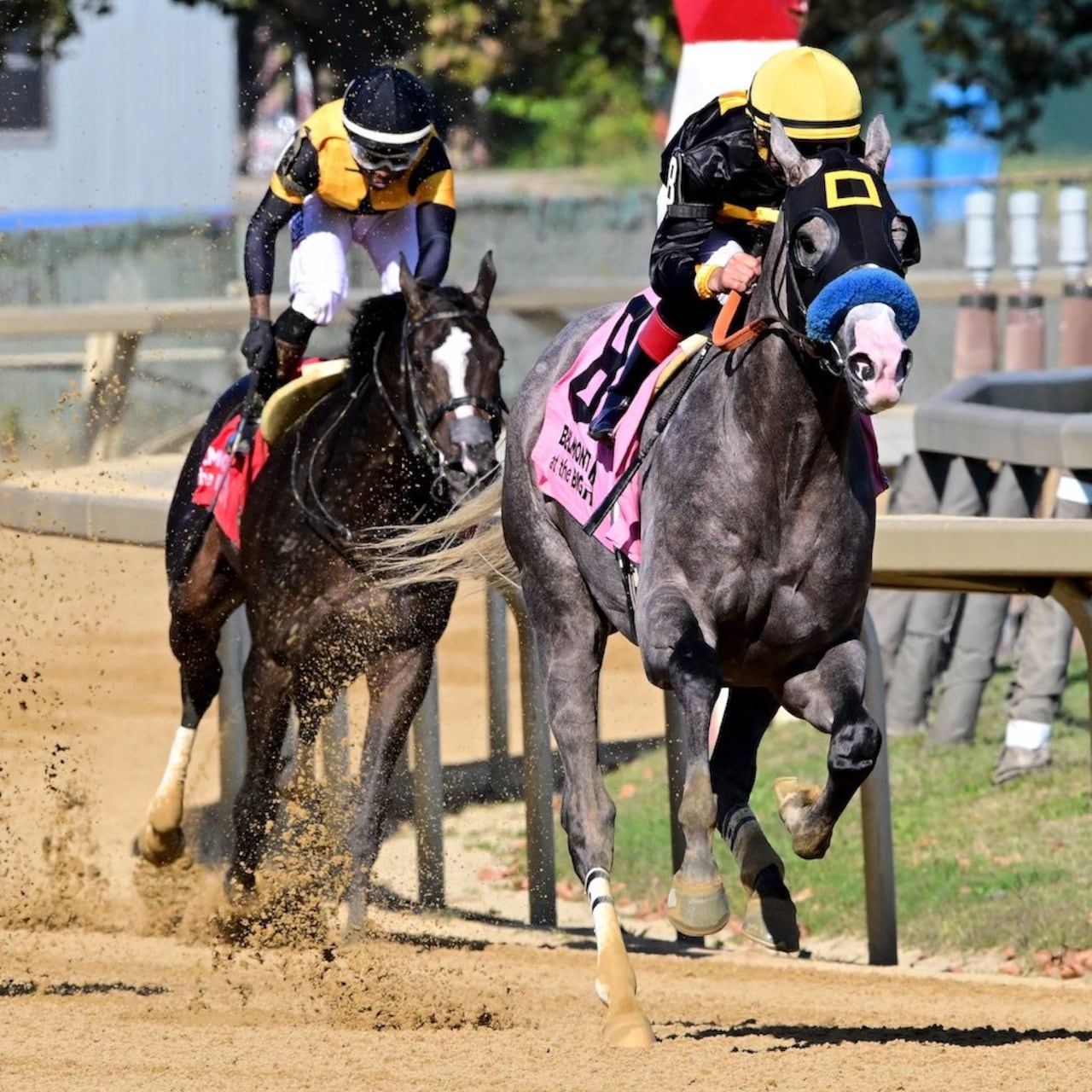 Napoleon Solo wins the Champagne Stakes at Aqueduct.