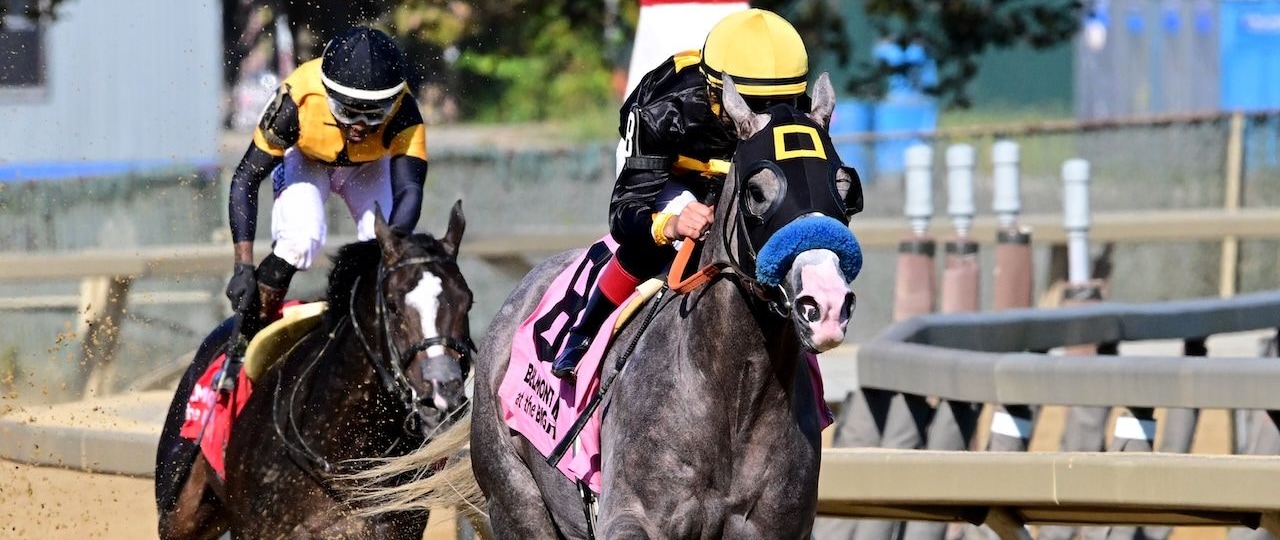 Napoleon Solo wins the Champagne Stakes at Aqueduct.