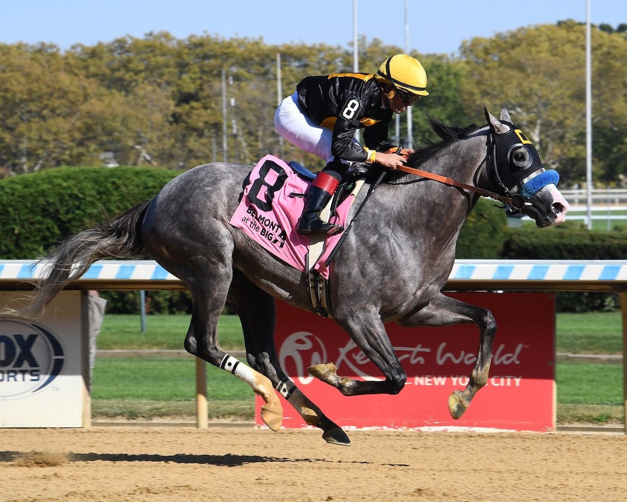 Napoleon Solo put his speed on display in the Champagne Stakes at Aqueduct.