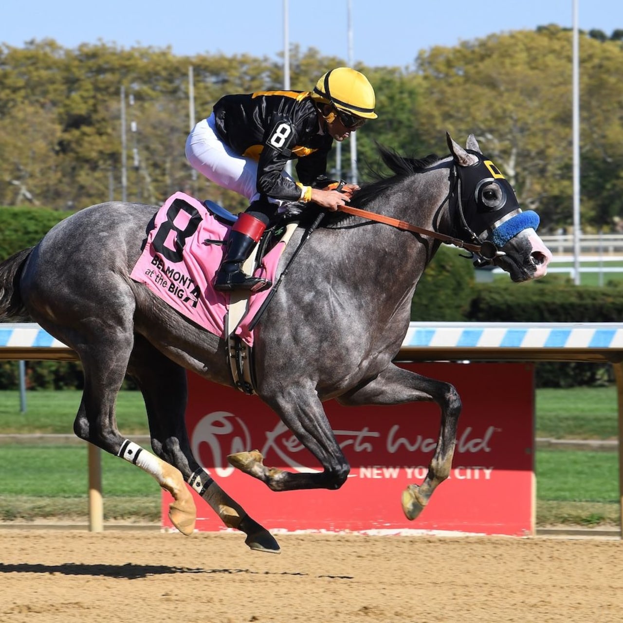 Napoleon Solo put his speed on display in the Champagne Stakes at Aqueduct.