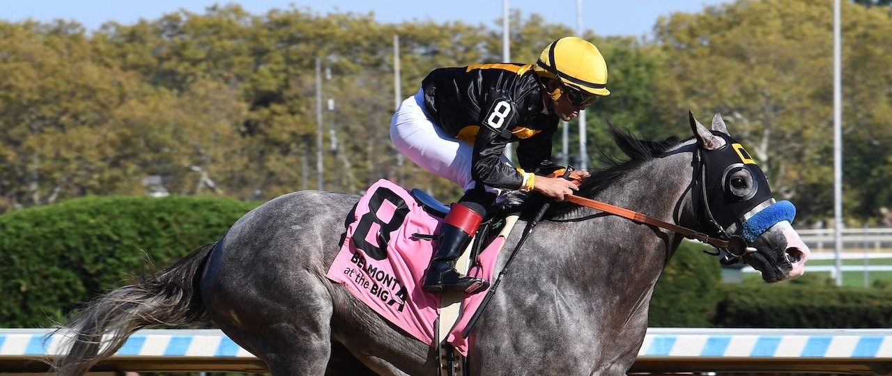 Napoleon Solo put his speed on display in the Champagne Stakes at Aqueduct.