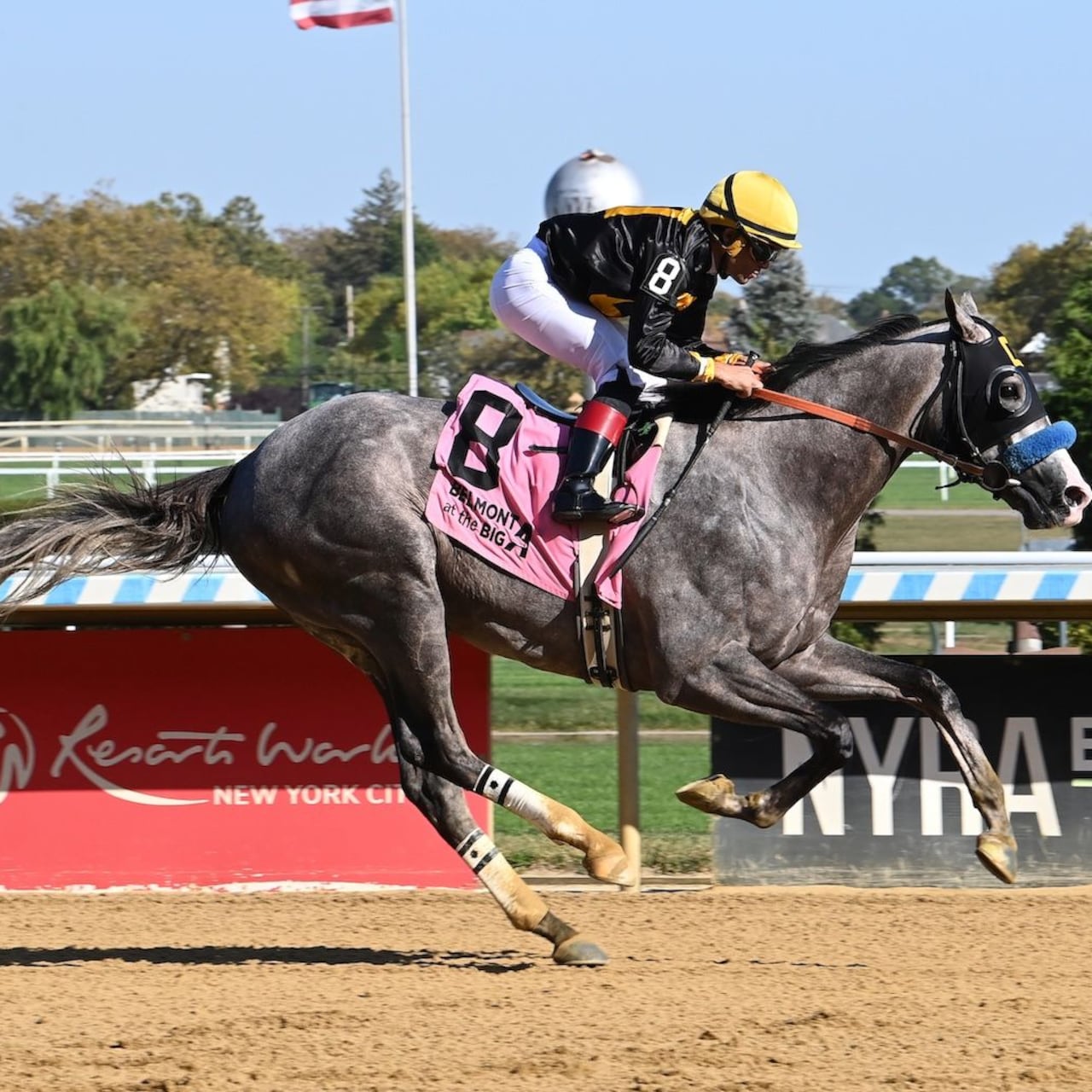 Napoleon Solo wins the Champagne Stakes at Aqueduct.