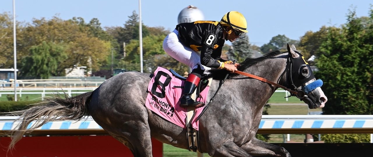 Napoleon Solo wins the Champagne Stakes at Aqueduct.