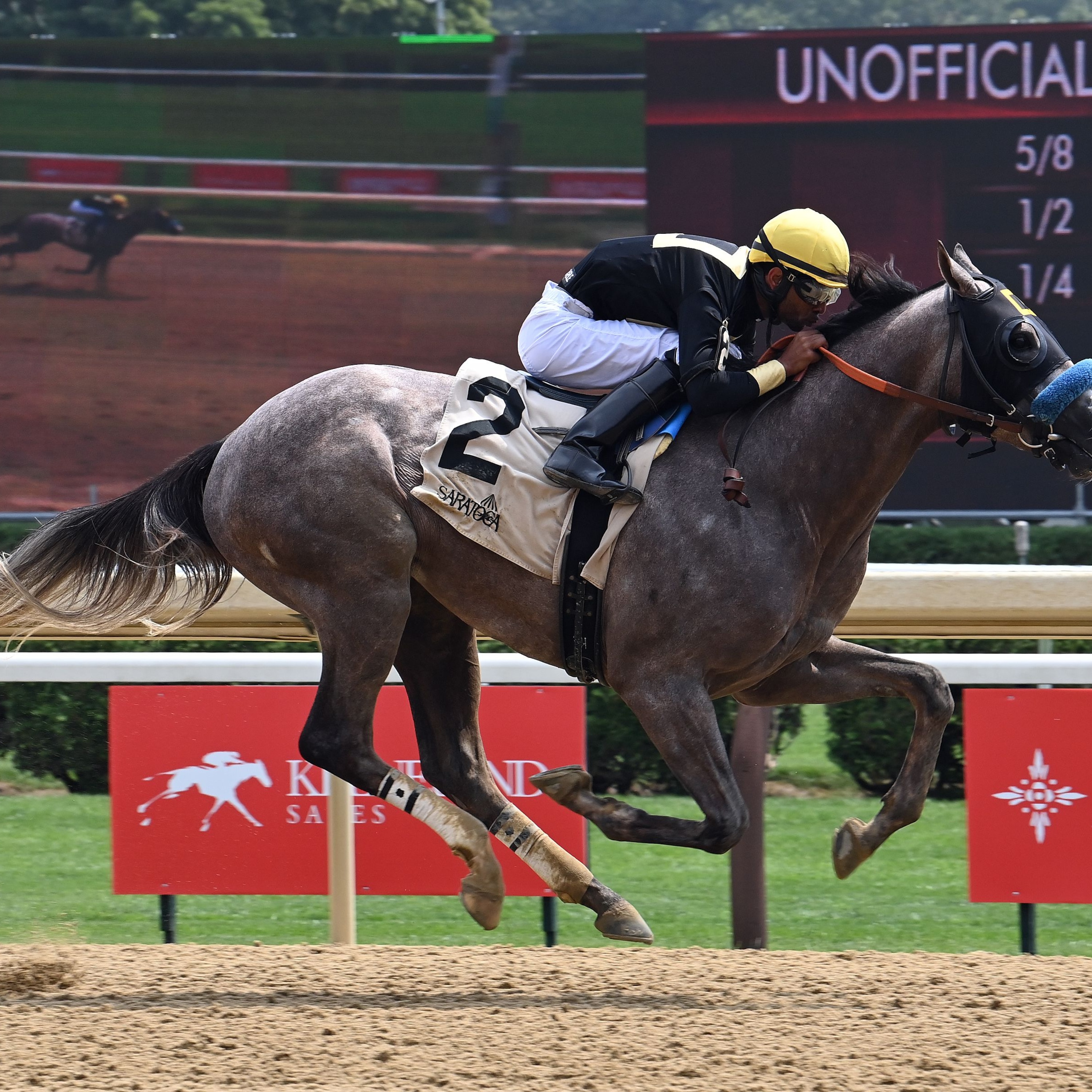Napoleon Solo wins at Saratoga.