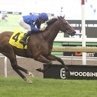 Nations Pride winning the Canadian International (G2) at Woodbine (Photo by Michael Burns Photography)
