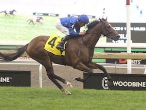Nations Pride winning the Canadian International (G2) at Woodbine (Photo by Michael Burns Photography)