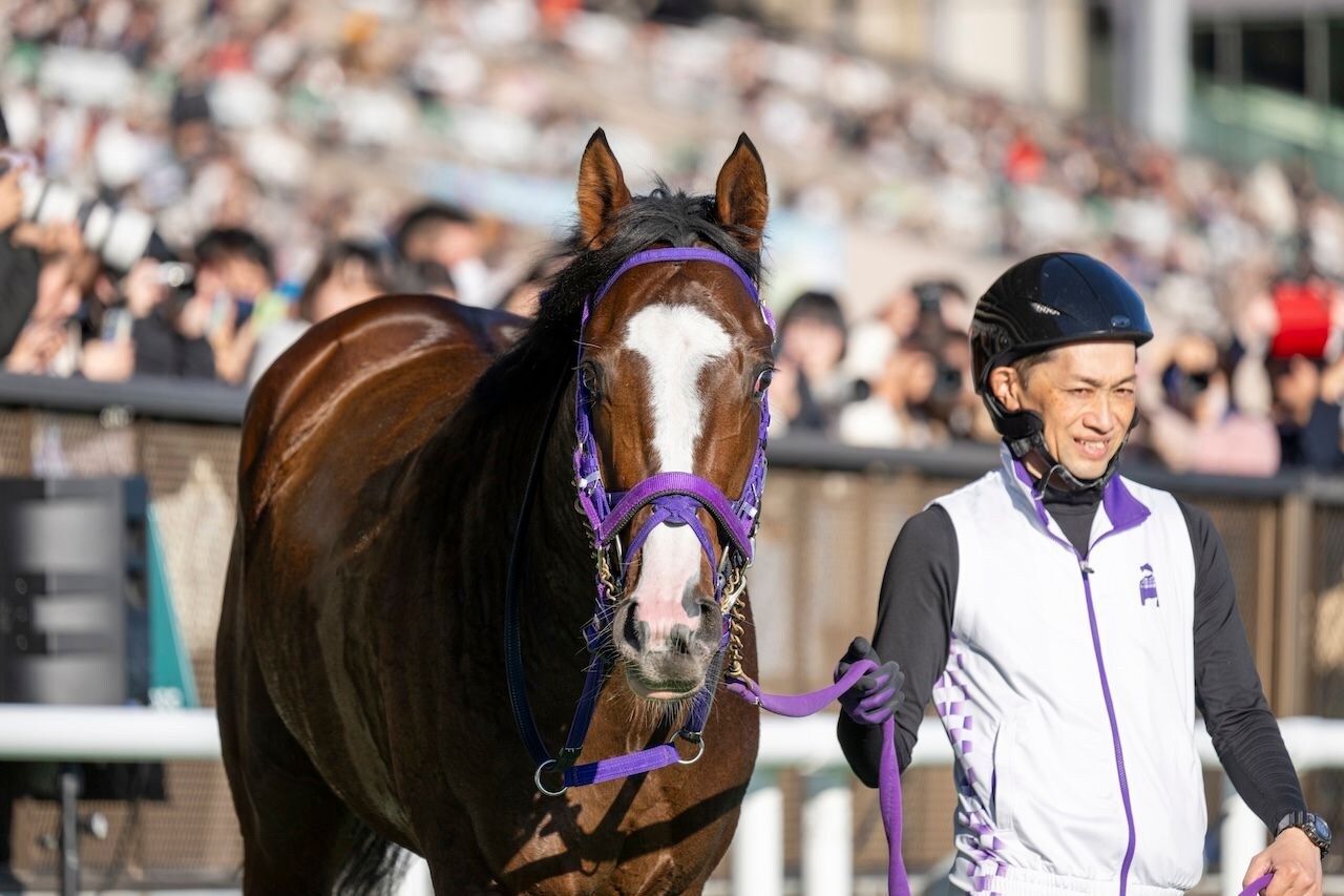 Natural Rise wins the Cattleya Stakes at Tokyo Racecourse. 