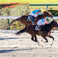 Natural Rise wins the Cattleya Stakes at Tokyo Racecourse.