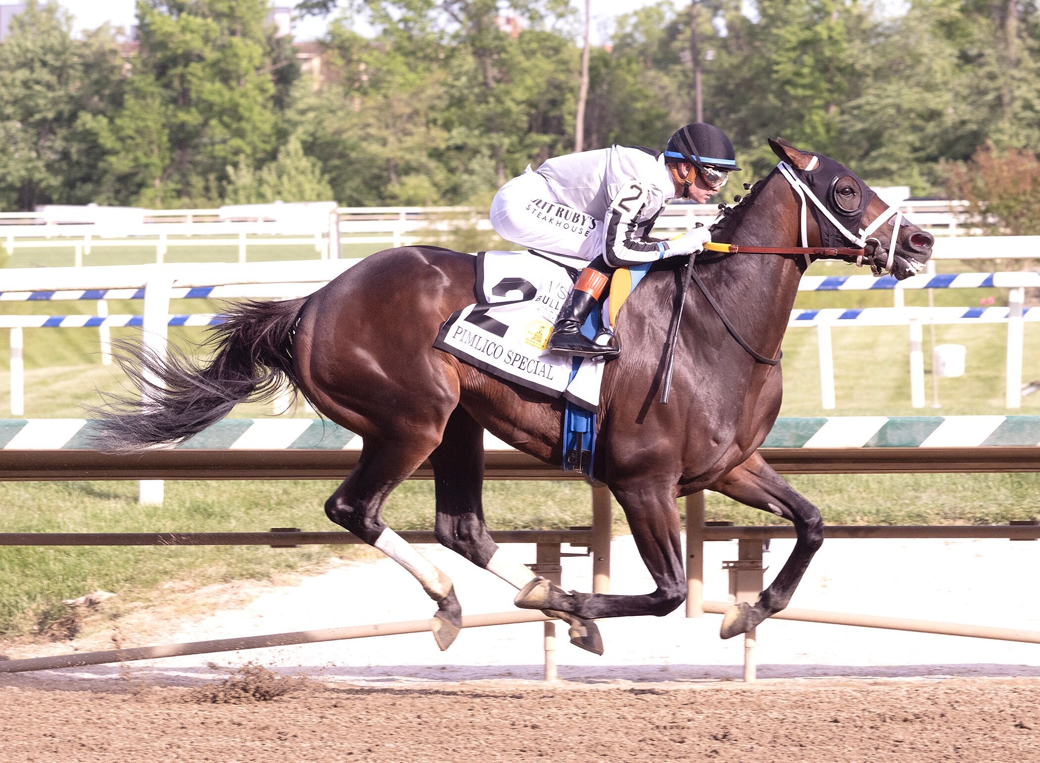 Navajo Warrior wins the Pimlico Special. 