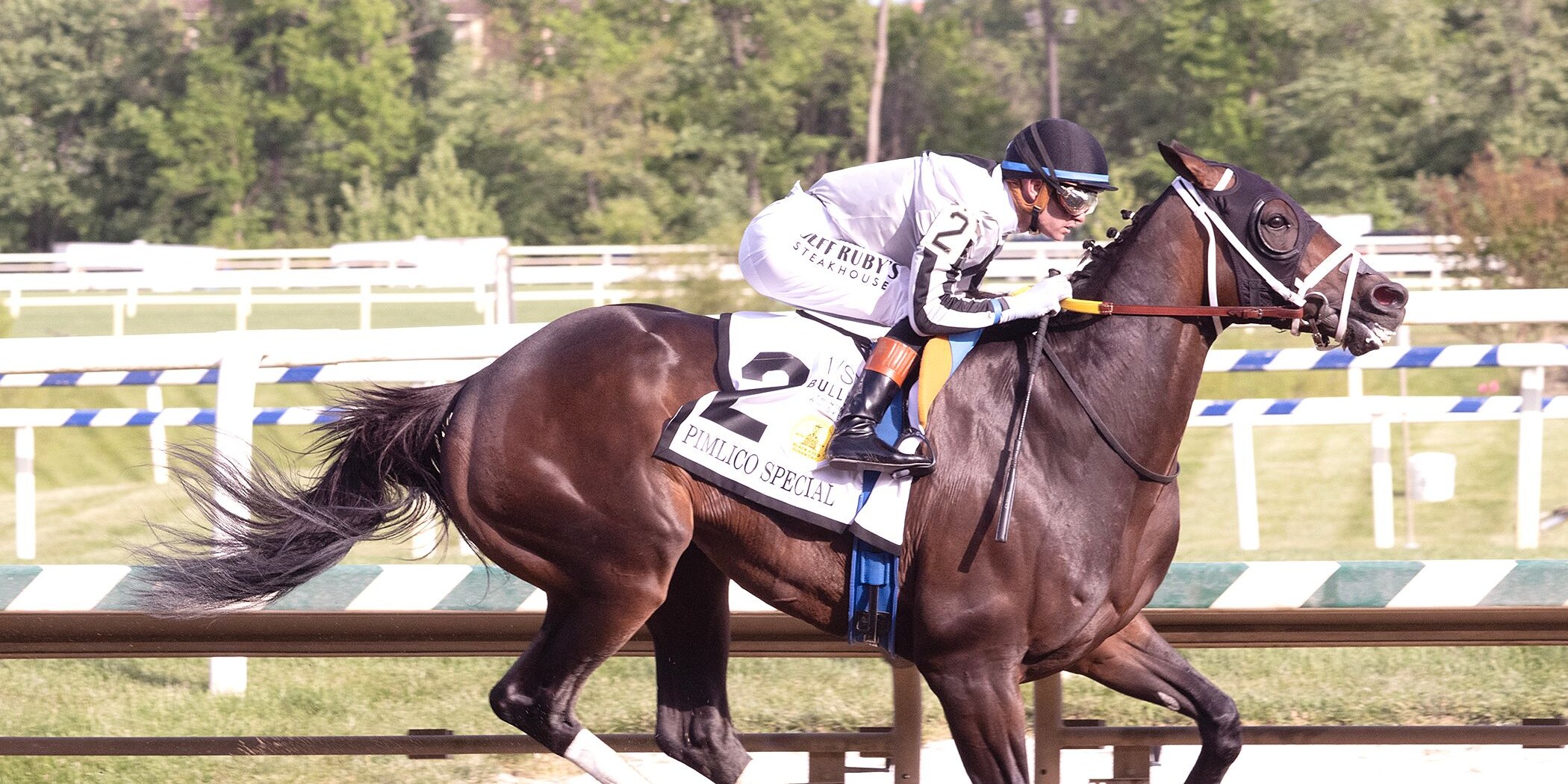 Navajo Warrior wins the Pimlico Special.