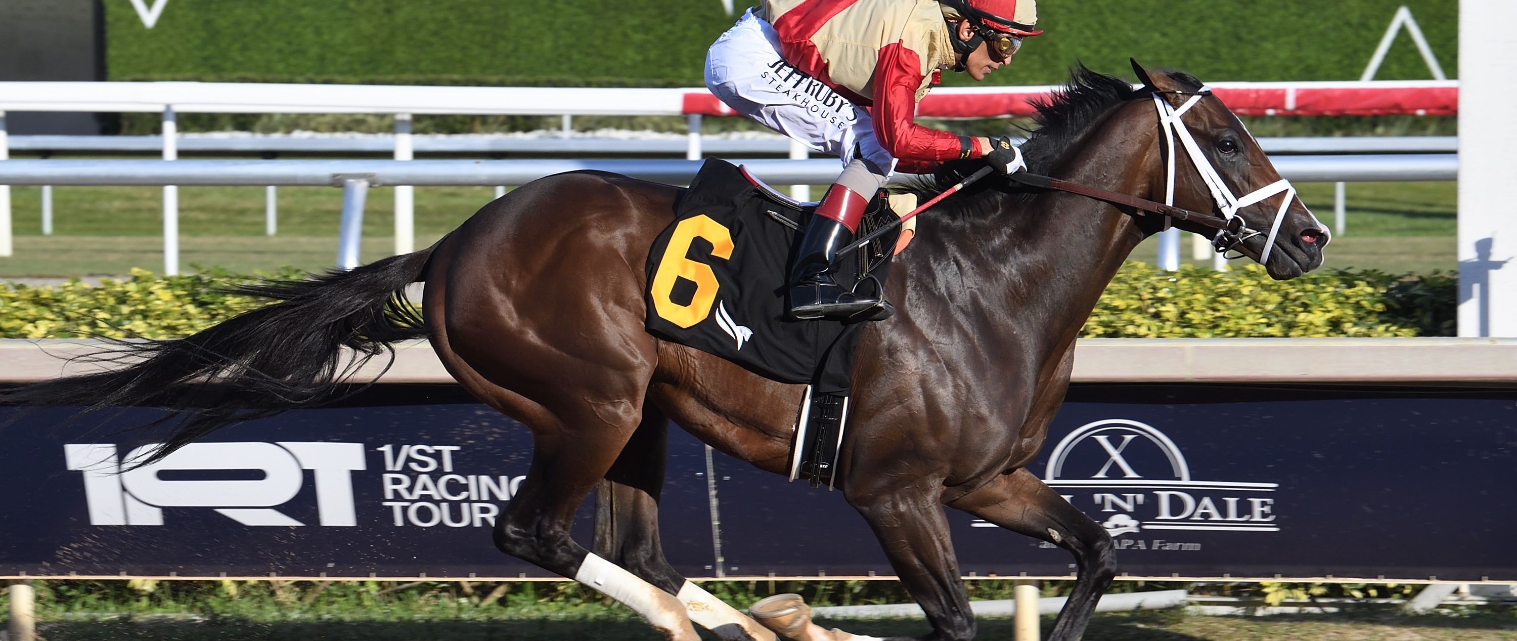 Nearly wins at Gulfstream Park.