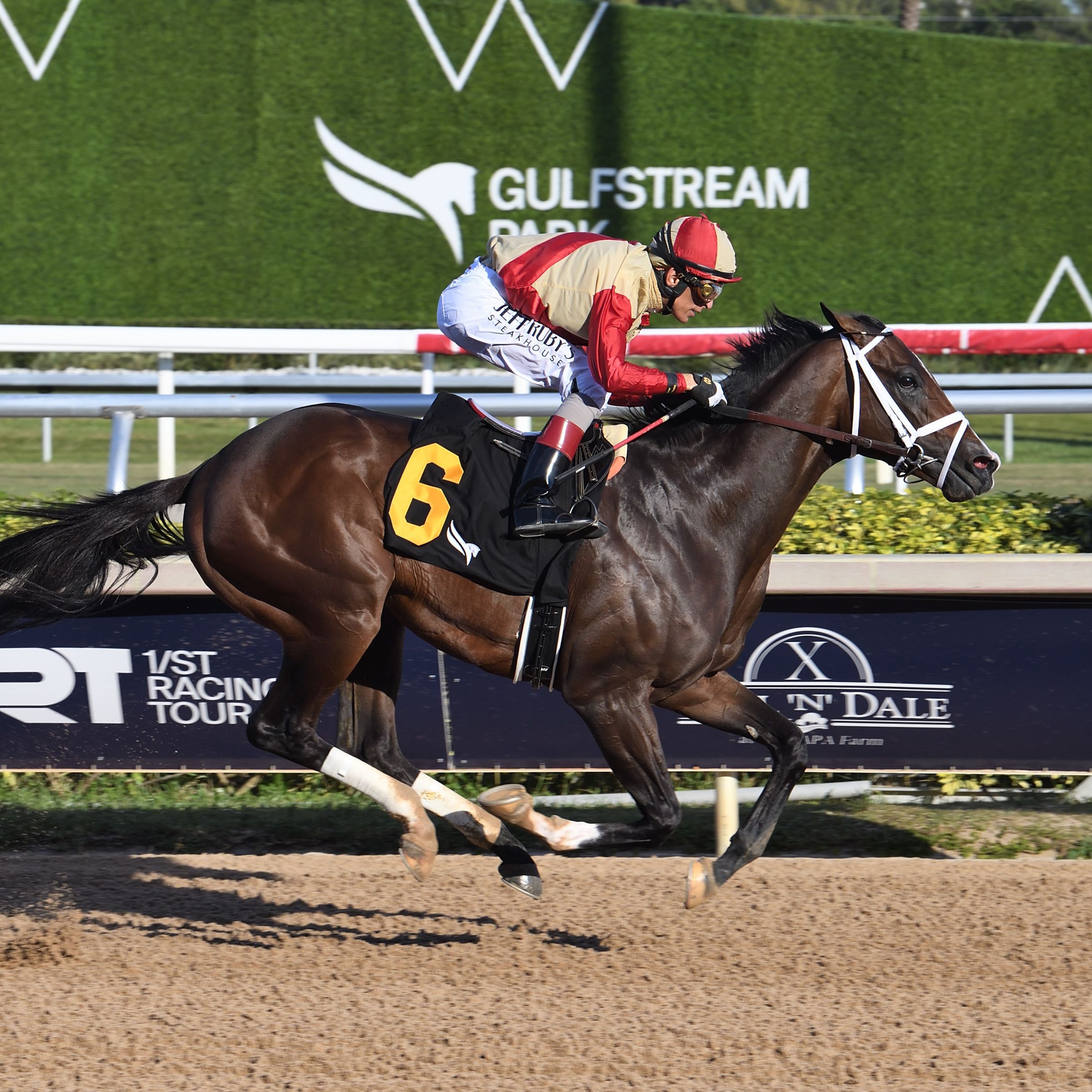 Nearly wins at Gulfstream Park.