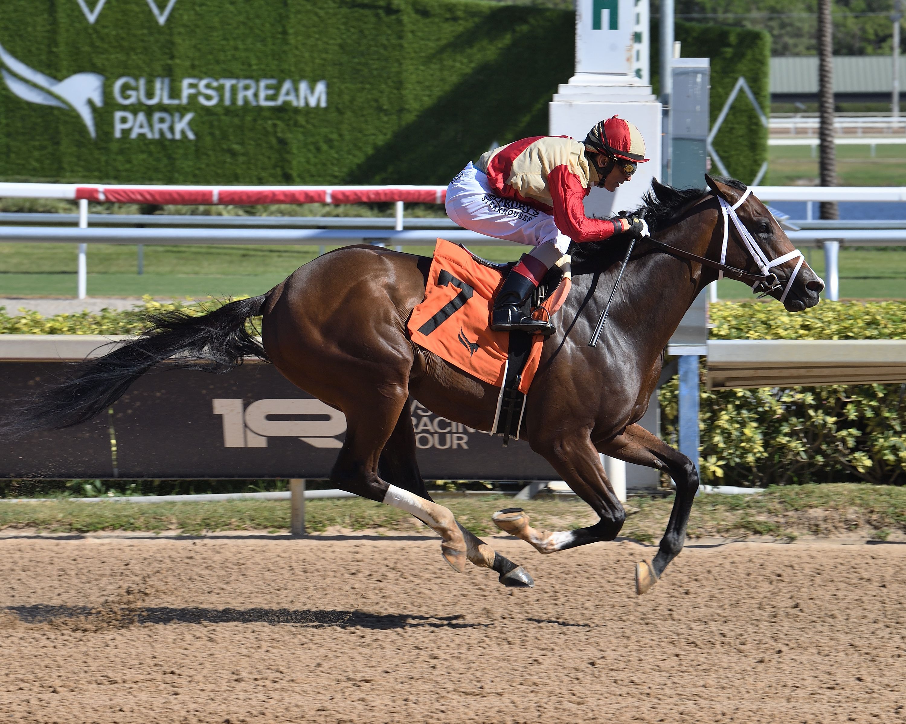 Nearly wins at Gulfstream Park.