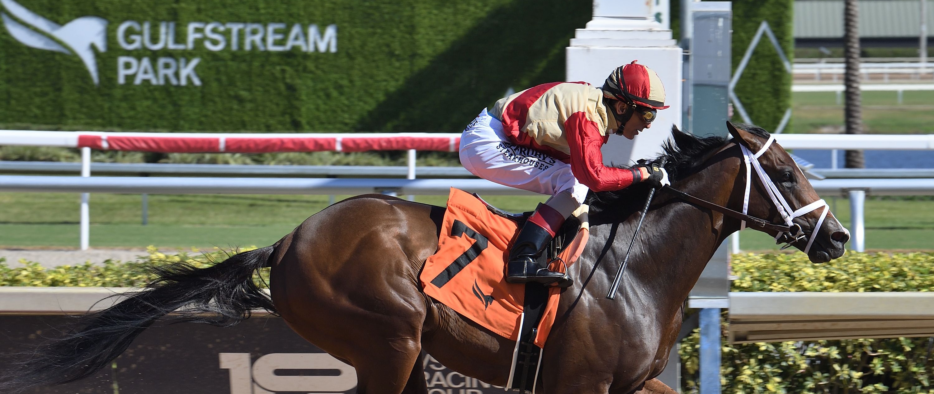 Nearly wins at Gulfstream Park.