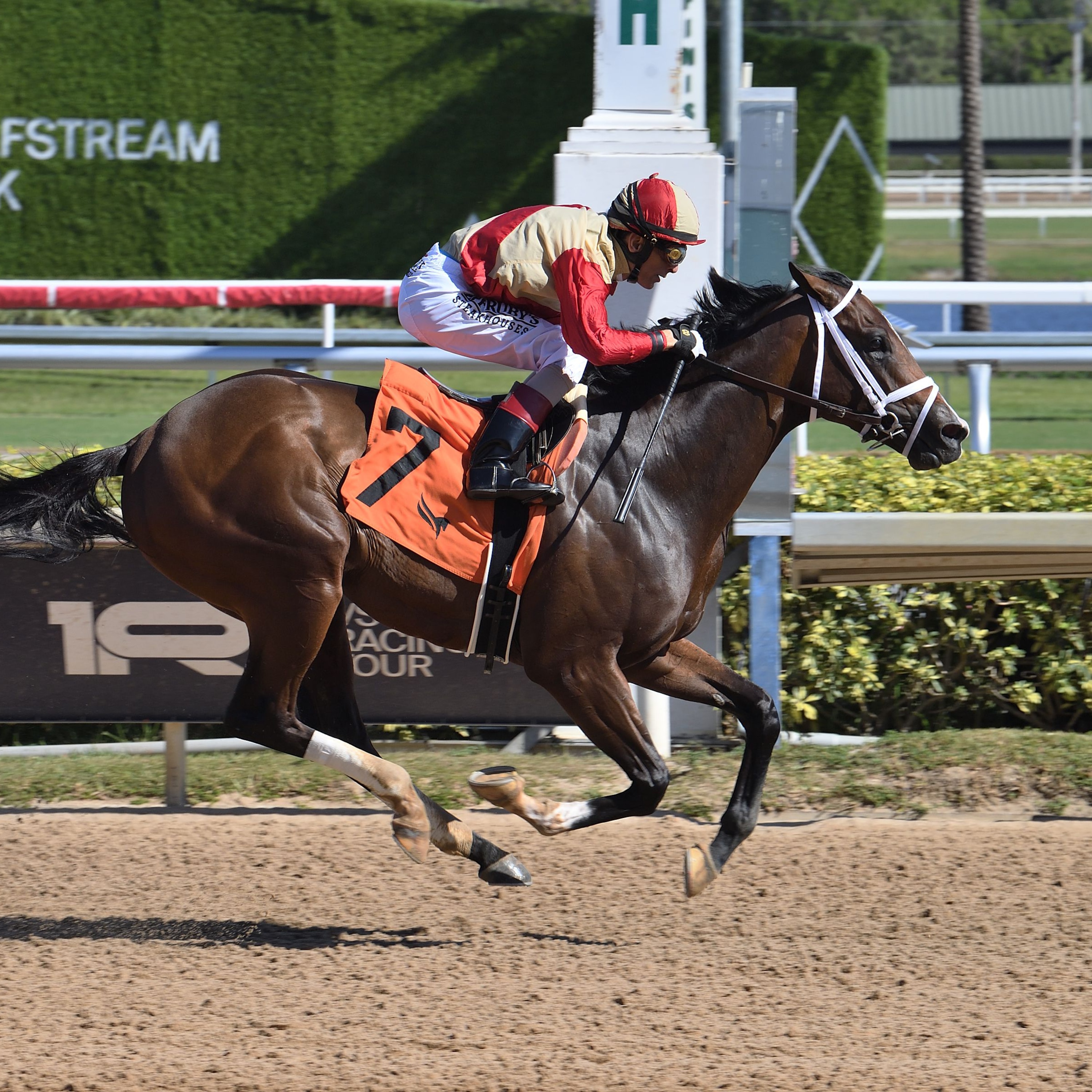 Nearly wins at Gulfstream Park.