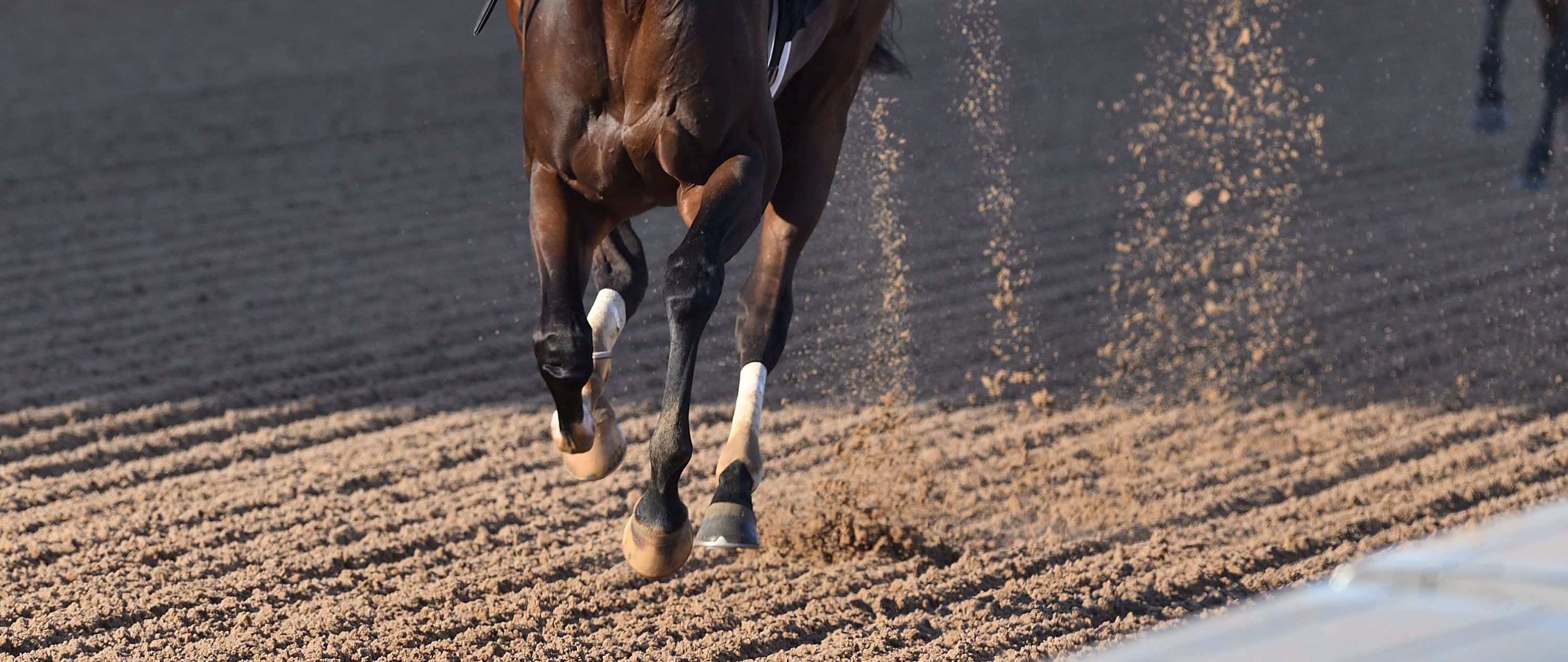 Nearly wins at Gulfstream Park.
