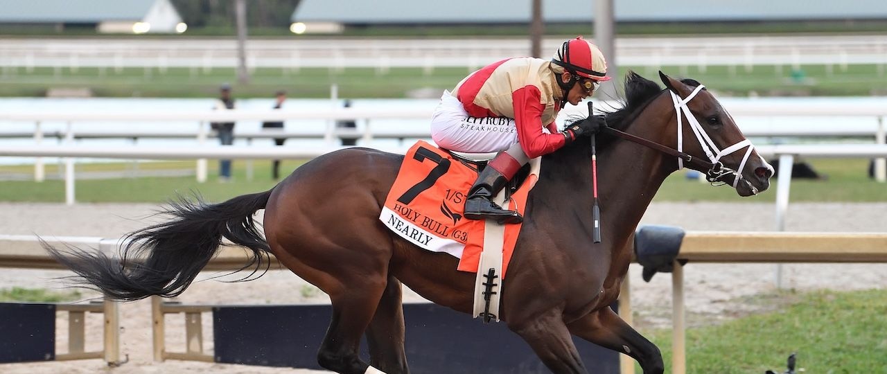 Nearly wins the Holy Bull at Gulfstream Park.