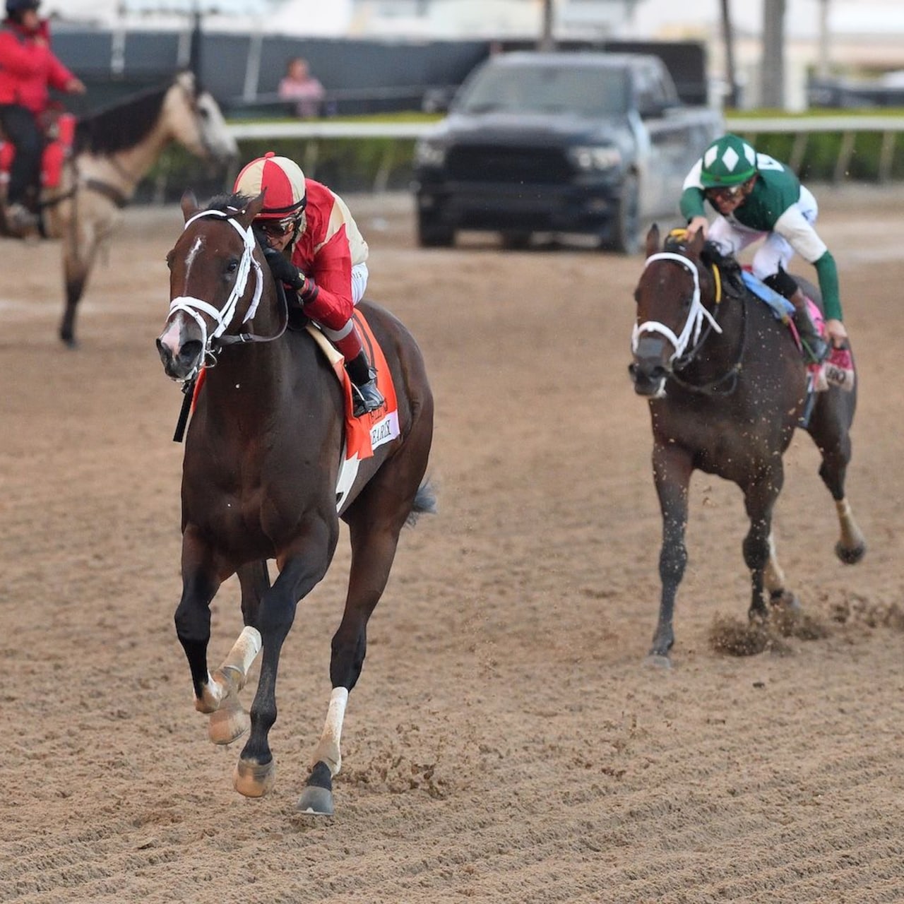 Nearly wins the Holy Bull at Gulfstream Park.