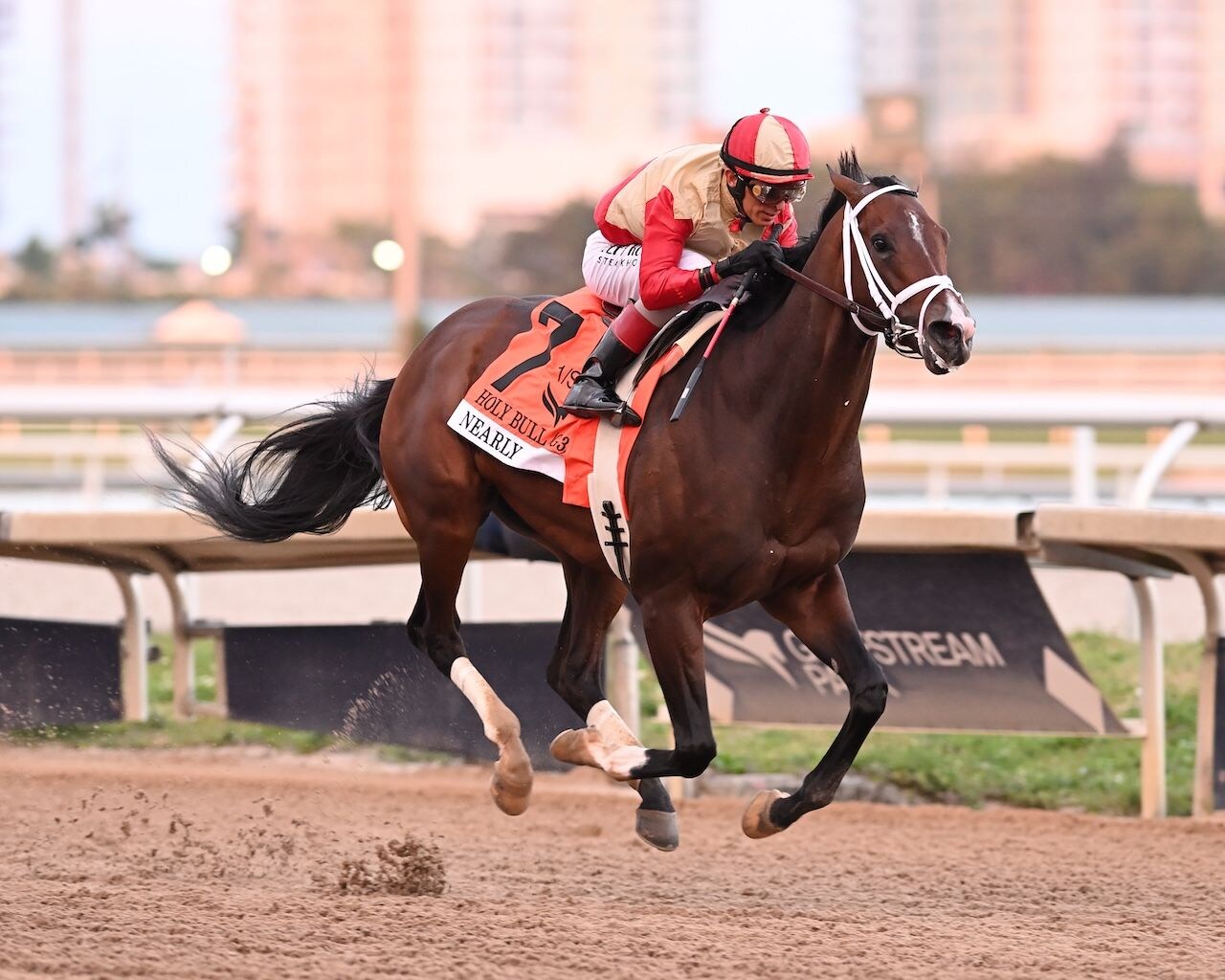 Nearly wins the Holy Bull at Gulfstream Park.