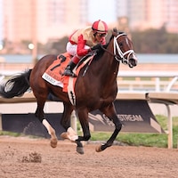 Nearly wins the Holy Bull at Gulfstream Park. 