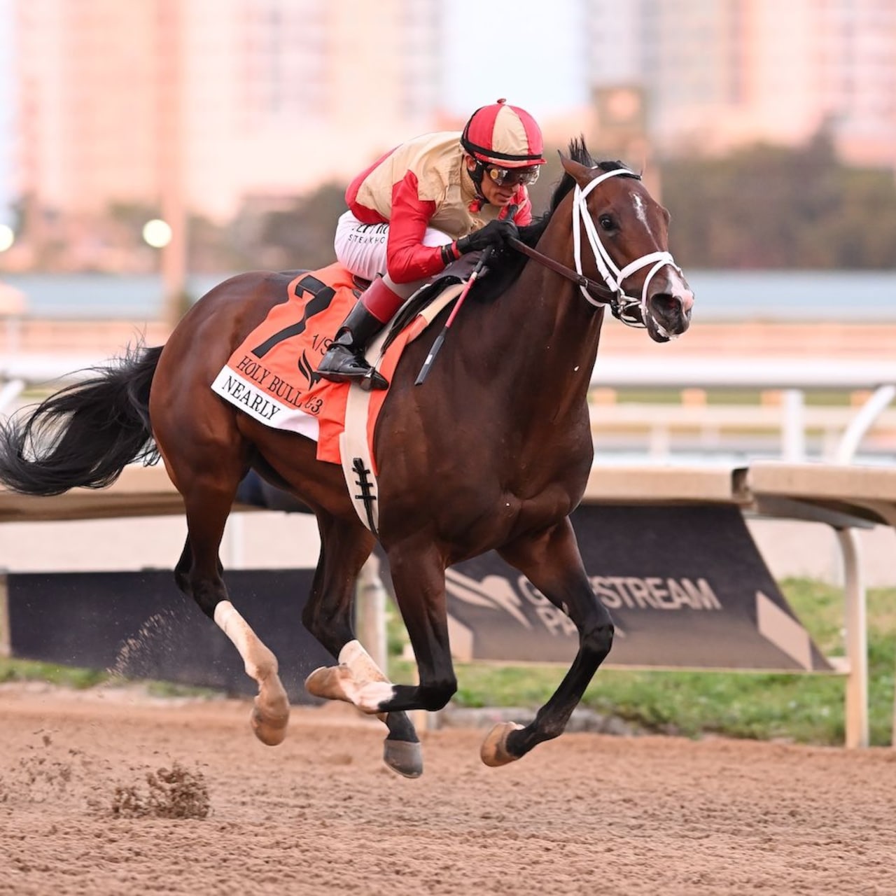 Nearly wins the Holy Bull at Gulfstream Park.