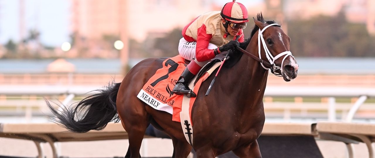 Nearly wins the Holy Bull at Gulfstream Park.
