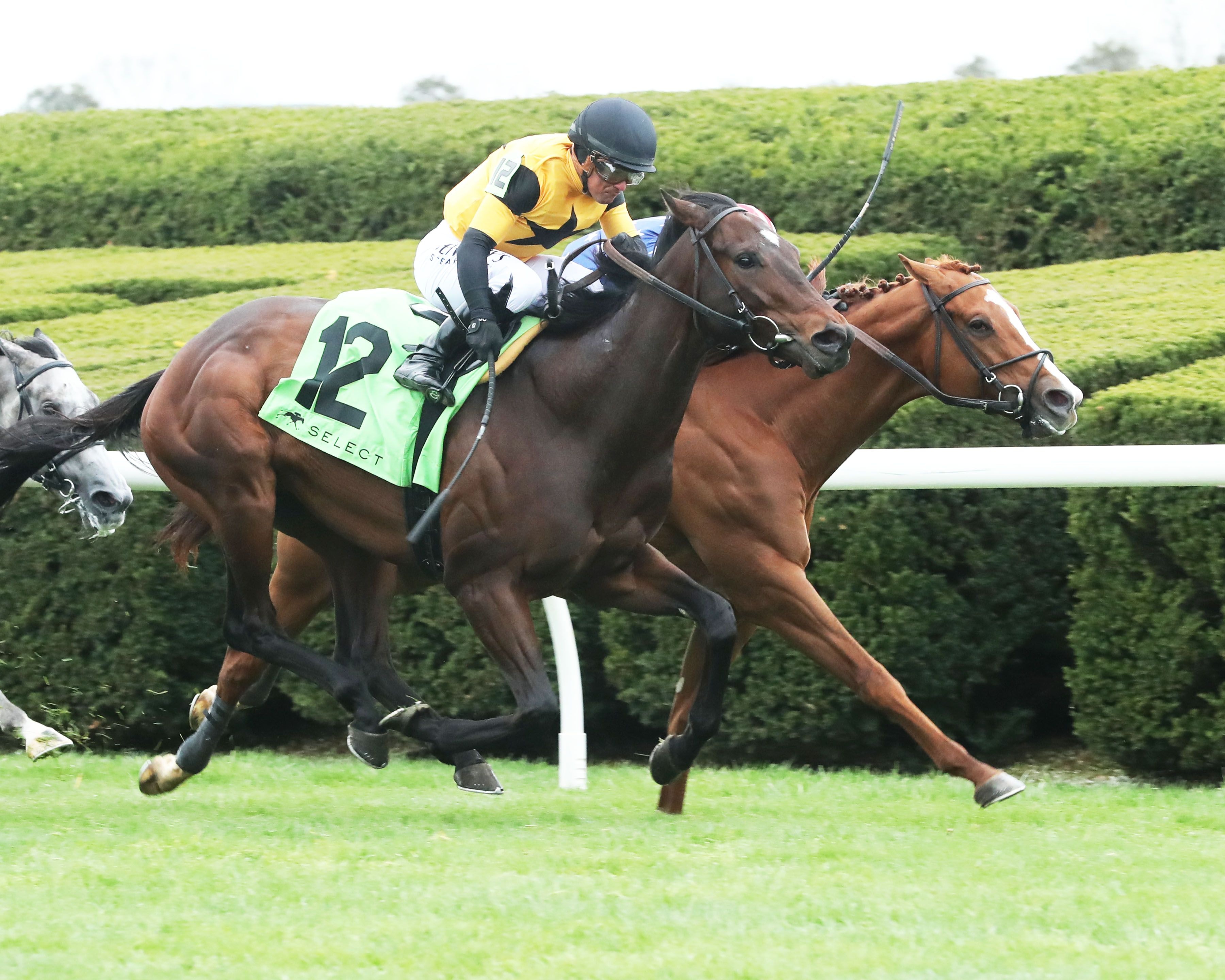 Neat wins the Transylvania S. at Keeneland (Phto by Coady Media/Renee Torbit/Keeneland)