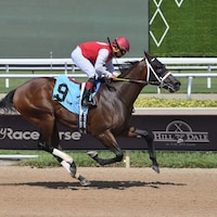 Neoequos wins at Gulfstream Park. 