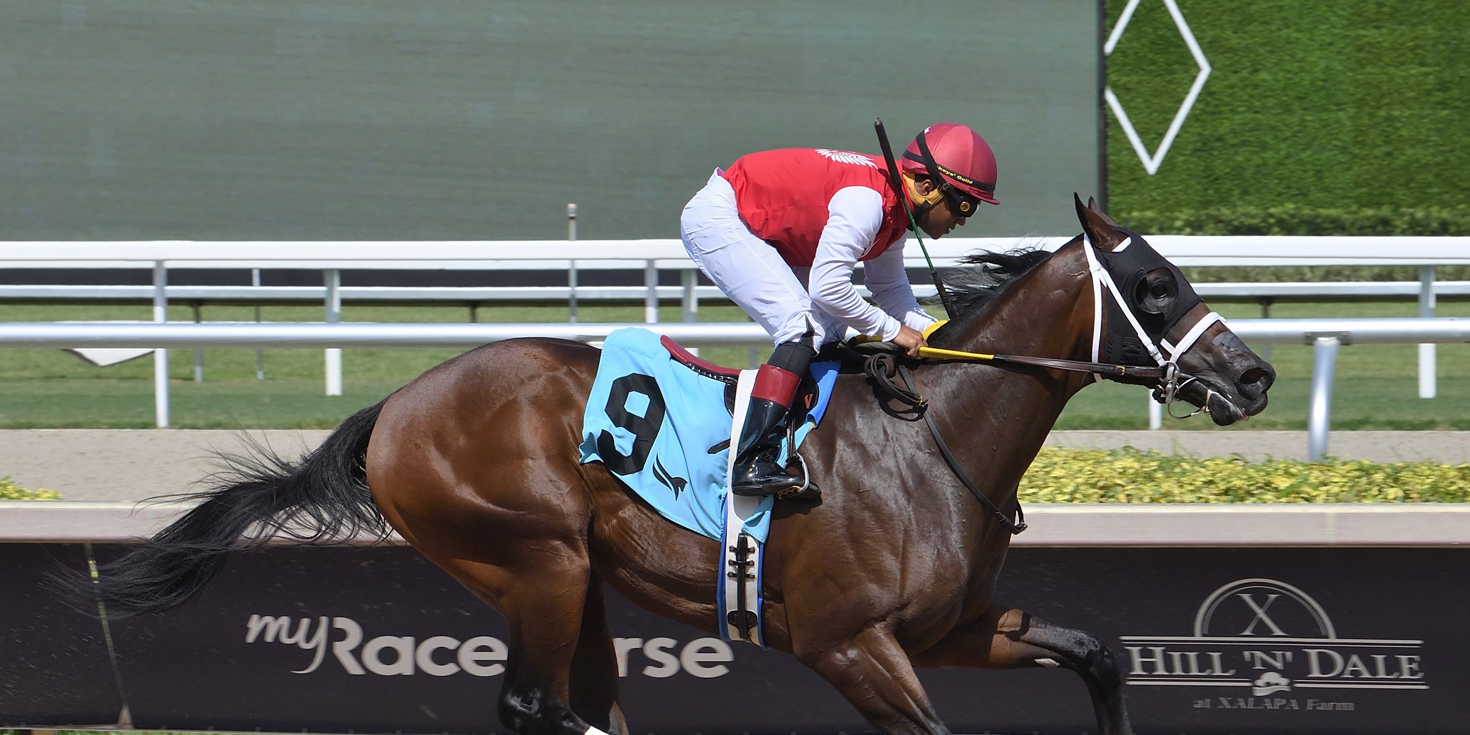 Neoequos wins at Gulfstream Park.