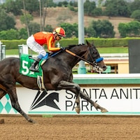 Nevada Beach topples Full Serrano in the Goodwood (G1)