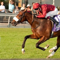 New Century wins the Summer Stakes (G1) at Woodbine. (Photo by Michael Burns Photo)