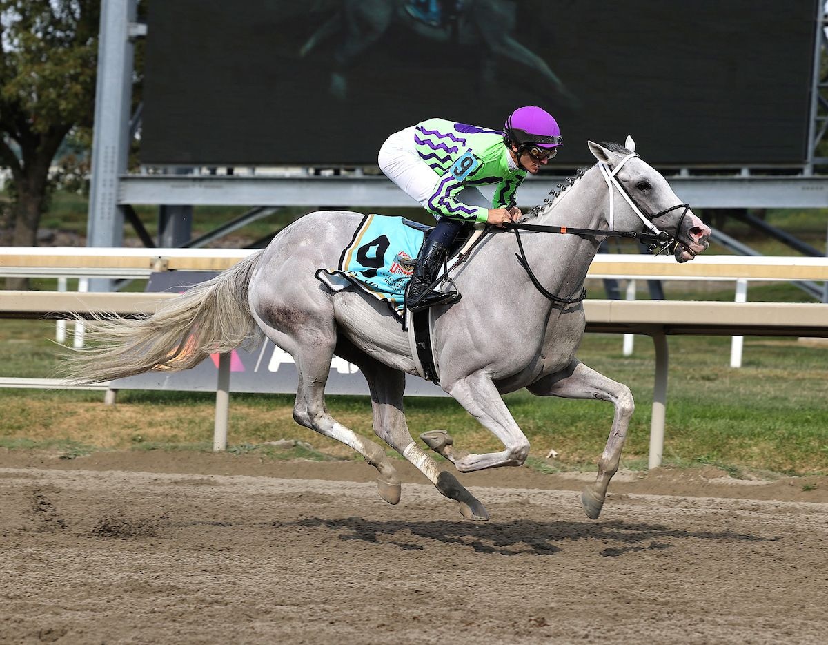 Next winning the Greenwood Cup (G3) at Parx Racing (Photo by Bill Denver/EQUI-PHOTO)