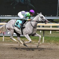 Next winning the Greenwood Cup (G3) at Parx Racing (Photo by Bill Denver/EQUI-PHOTO)
