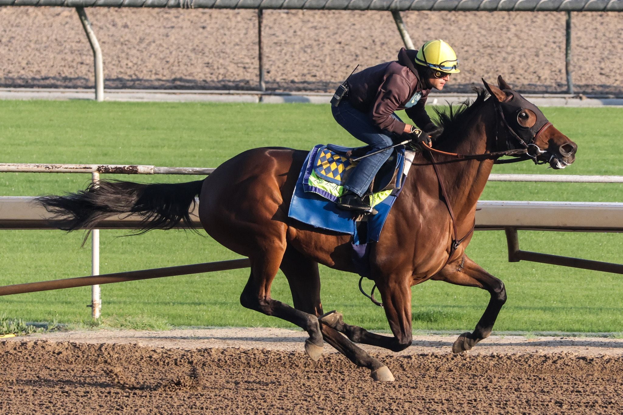 Nimah at Santa Anita.