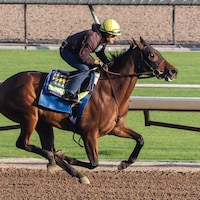 Nimah at Santa Anita.