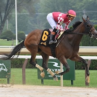 Nitrogen galloped in the off-the-turf Wonder Again
