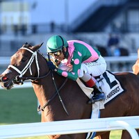 No Mo Candy wins the Pebbles Stakes at Aqueduct.