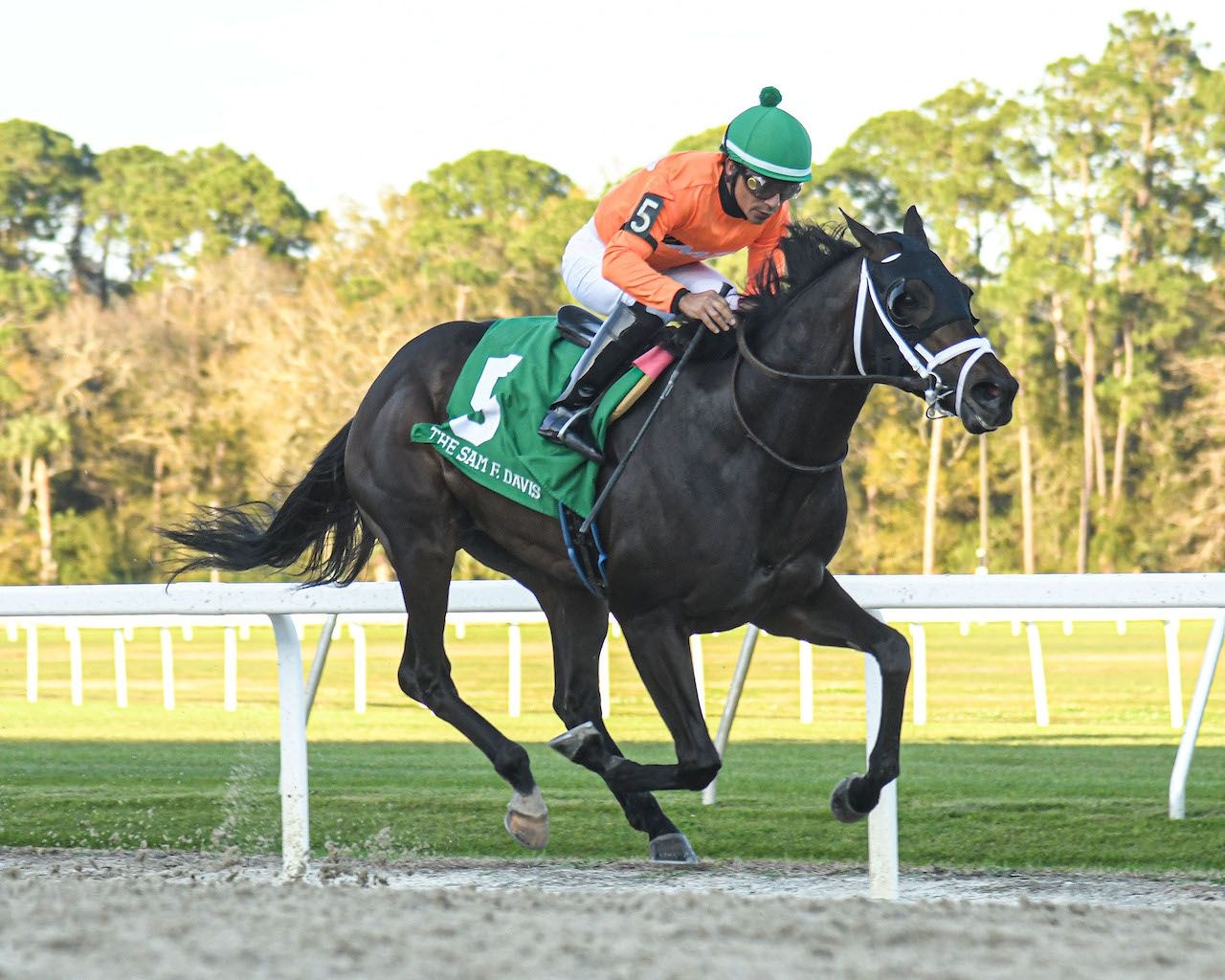 No More Time winning the Sam F. Davis (G3) at Tampa Bay Downs (Photo by SV Photography)
